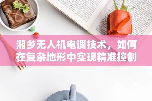 湘乡无人机电调技术，如何在复杂地形中实现精准控制？