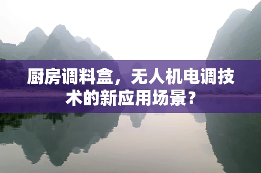 厨房调料盒，无人机电调技术的新应用场景？