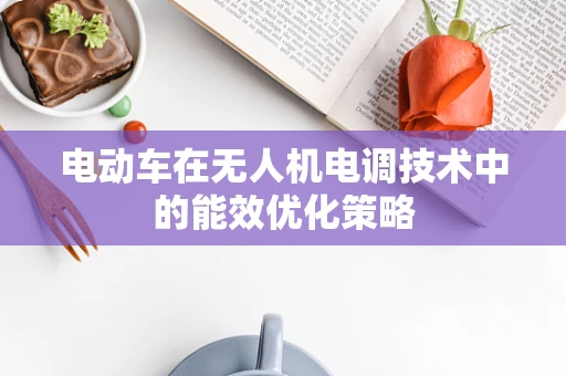 电动车在无人机电调技术中的能效优化策略