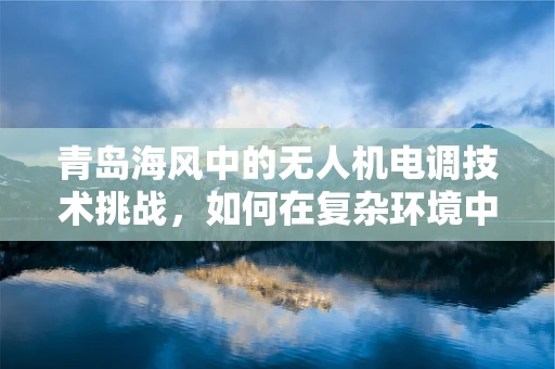 青岛海风中的无人机电调技术挑战，如何在复杂环境中保持稳定飞行？