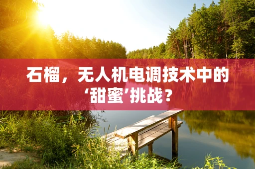 石榴，无人机电调技术中的‘甜蜜’挑战？