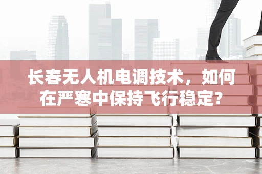 长春无人机电调技术，如何在严寒中保持飞行稳定？