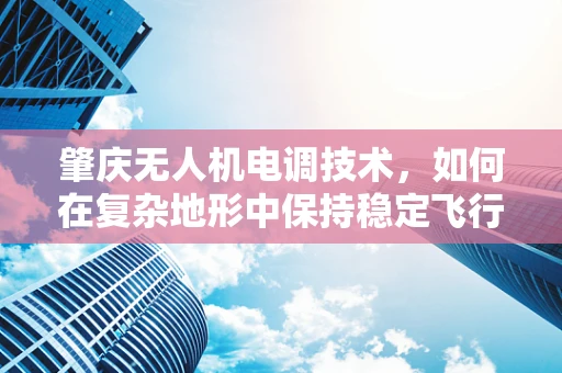 肇庆无人机电调技术，如何在复杂地形中保持稳定飞行？