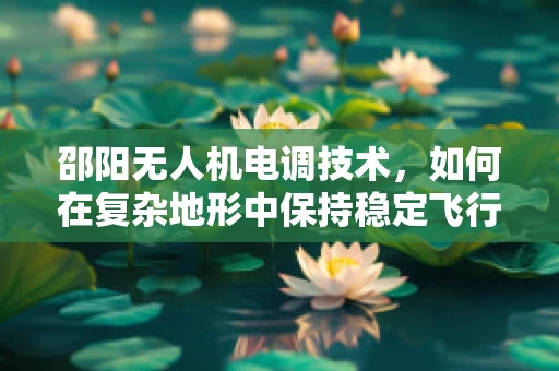 邵阳无人机电调技术，如何在复杂地形中保持稳定飞行？