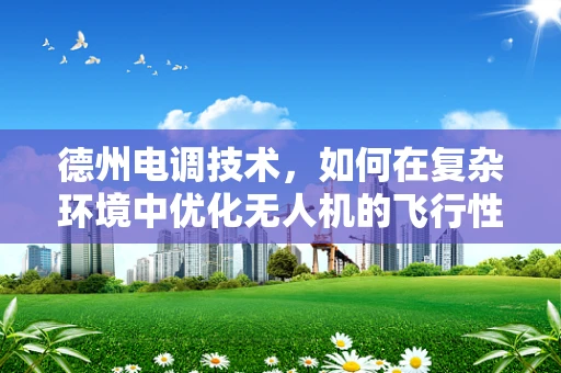 德州电调技术，如何在复杂环境中优化无人机的飞行性能？