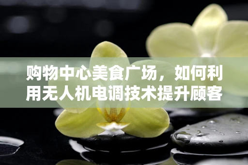 购物中心美食广场，如何利用无人机电调技术提升顾客体验？
