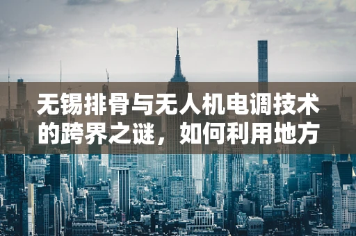 无锡排骨与无人机电调技术的跨界之谜，如何利用地方特色命名优化飞行器性能？