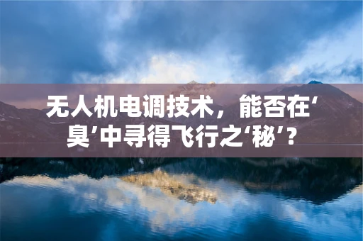 无人机电调技术，能否在‘臭’中寻得飞行之‘秘’？