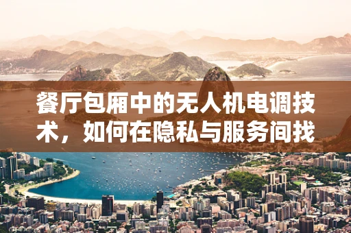 餐厅包厢中的无人机电调技术，如何在隐私与服务间找到平衡？