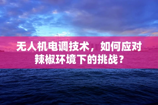 无人机电调技术，如何应对辣椒环境下的挑战？