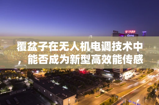覆盆子在无人机电调技术中，能否成为新型高效能传感器？
