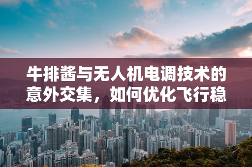 牛排酱与无人机电调技术的意外交集，如何优化飞行稳定性？