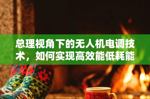 总理视角下的无人机电调技术，如何实现高效能低耗能？
