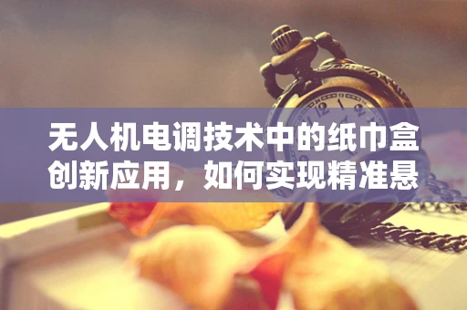 无人机电调技术中的纸巾盒创新应用，如何实现精准悬停与避障？