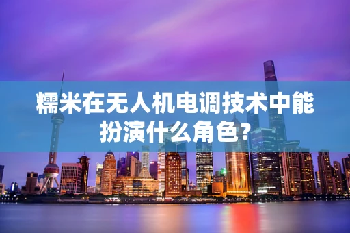 糯米在无人机电调技术中能扮演什么角色？