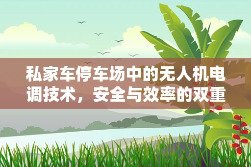 私家车停车场中的无人机电调技术，安全与效率的双重挑战