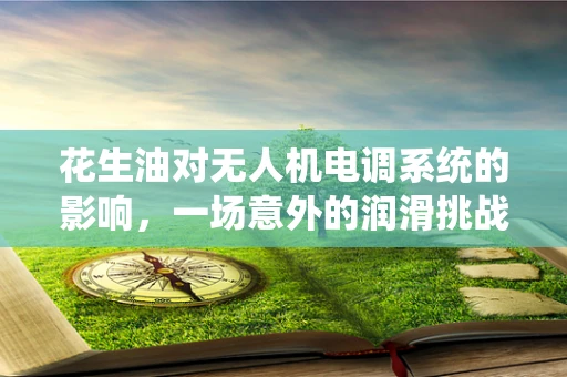 花生油对无人机电调系统的影响，一场意外的润滑挑战？