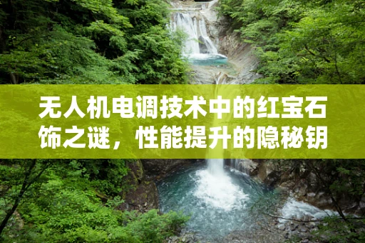 无人机电调技术中的红宝石饰之谜，性能提升的隐秘钥匙？