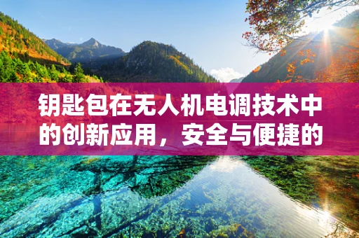 钥匙包在无人机电调技术中的创新应用，安全与便捷的双重考量