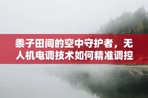 黍子田间的空中守护者，无人机电调技术如何精准调控飞行？
