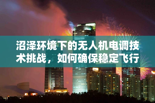 沼泽环境下的无人机电调技术挑战，如何确保稳定飞行？