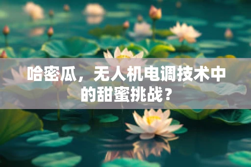 哈密瓜，无人机电调技术中的甜蜜挑战？