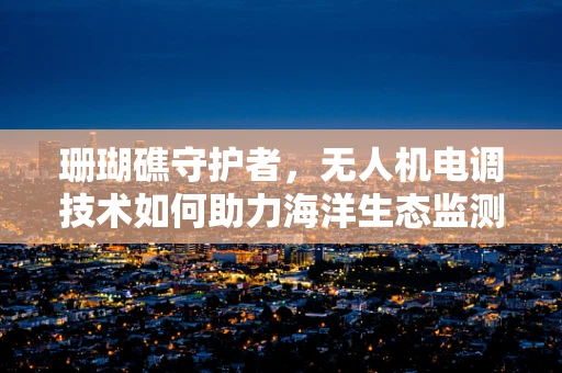 珊瑚礁守护者，无人机电调技术如何助力海洋生态监测？