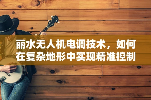 丽水无人机电调技术，如何在复杂地形中实现精准控制？