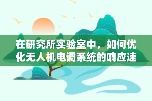 在研究所实验室中，如何优化无人机电调系统的响应速度与稳定性？