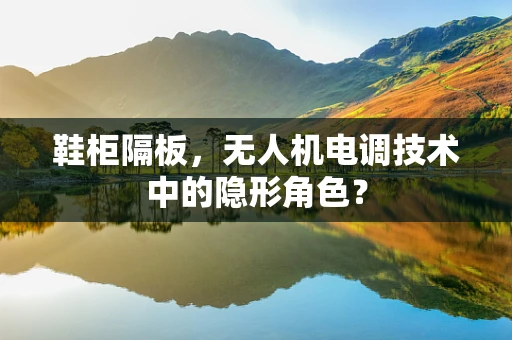 鞋柜隔板，无人机电调技术中的隐形角色？