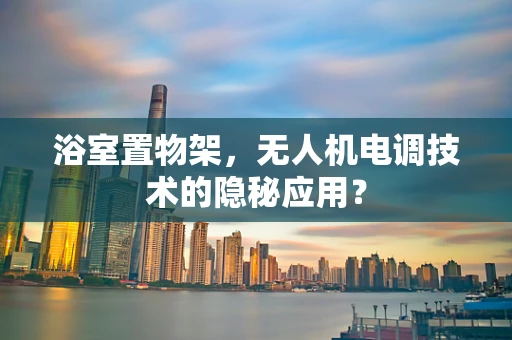 浴室置物架，无人机电调技术的隐秘应用？