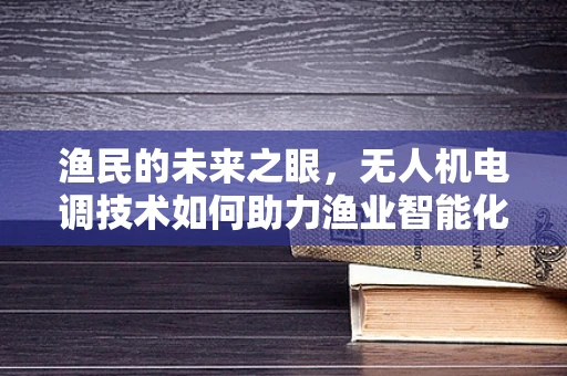 渔民的未来之眼，无人机电调技术如何助力渔业智能化？