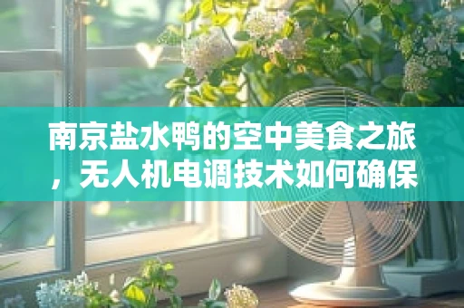 南京盐水鸭的空中美食之旅，无人机电调技术如何确保美味不掉链子？
