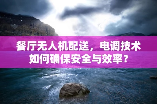 餐厅无人机配送，电调技术如何确保安全与效率？