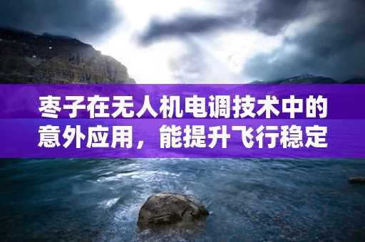 枣子在无人机电调技术中的意外应用，能提升飞行稳定性的秘密？
