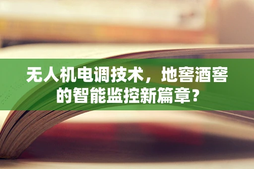 无人机电调技术，地窖酒窖的智能监控新篇章？