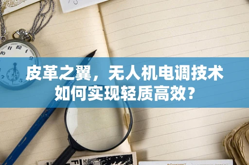 皮革之翼，无人机电调技术如何实现轻质高效？