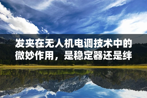 发夹在无人机电调技术中的微妙作用，是稳定器还是绊脚石？