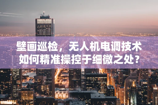 壁画巡检，无人机电调技术如何精准操控于细微之处？