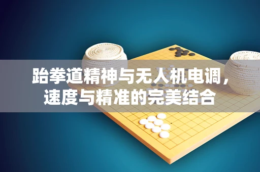 跆拳道精神与无人机电调，速度与精准的完美结合