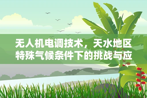 无人机电调技术，天水地区特殊气候条件下的挑战与应对