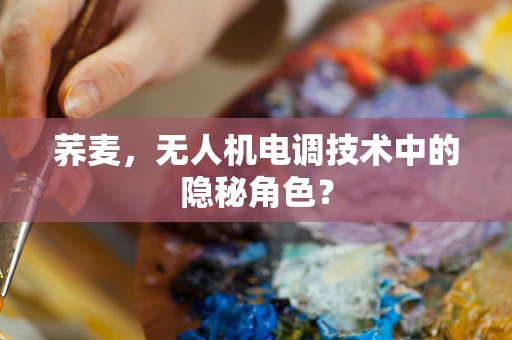 荞麦，无人机电调技术中的隐秘角色？