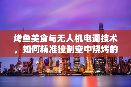 烤鱼美食与无人机电调技术，如何精准控制空中烧烤的‘火候’？