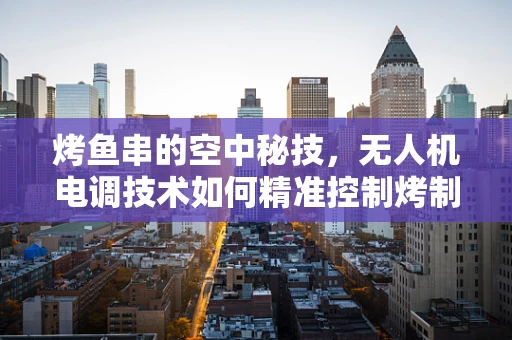烤鱼串的空中秘技，无人机电调技术如何精准控制烤制过程？