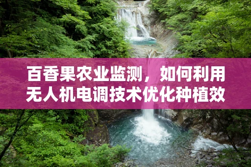 百香果农业监测，如何利用无人机电调技术优化种植效率？