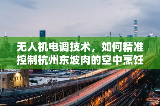 无人机电调技术，如何精准控制杭州东坡肉的空中烹饪？