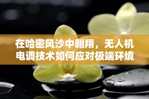 在哈密风沙中翱翔，无人机电调技术如何应对极端环境挑战？