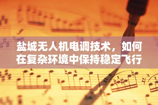 盐城无人机电调技术，如何在复杂环境中保持稳定飞行？