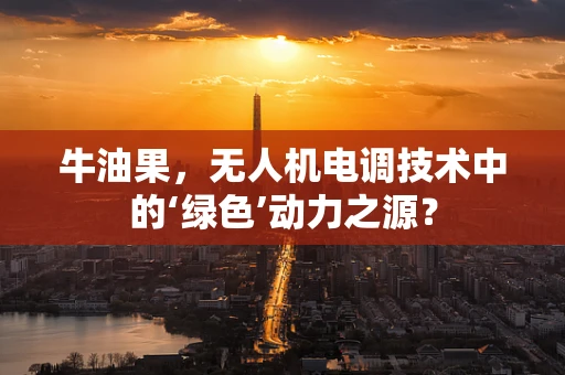 牛油果，无人机电调技术中的‘绿色’动力之源？