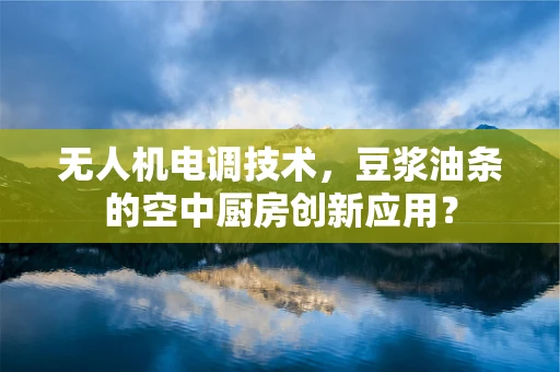 无人机电调技术，豆浆油条的空中厨房创新应用？
